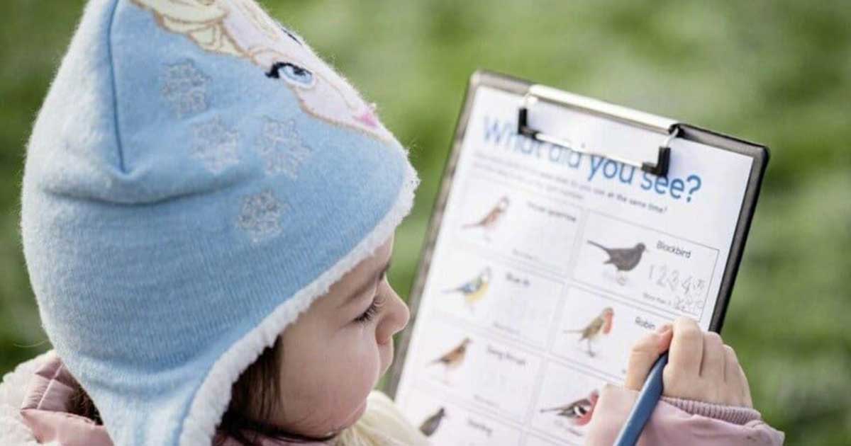 big school's birdwatch
